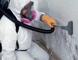 Professional Mold Inspection in Bret Harte, CA